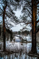 Foto auf Leinwand Landscape with the image of winter karelian nature © Dmitry Vereshchagin