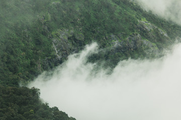waterfall in the forest