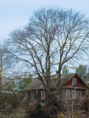 Fototapeta na wymiar country house in Staraya Ladoga Russia