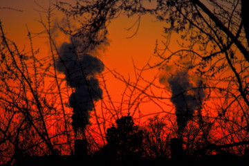 Sunset over the industries with trees