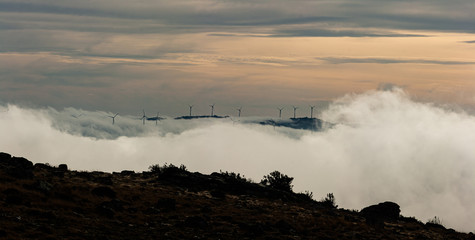 Landscape with wind turbines emerging from the fog in Portugal
