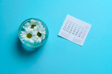 charmomiles in coffee cup near to calendar