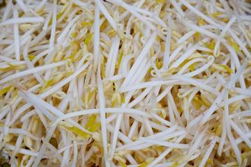White chinese bean sprouts for cooking and healthy food