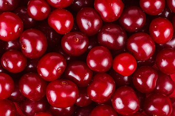 Wild cherries background