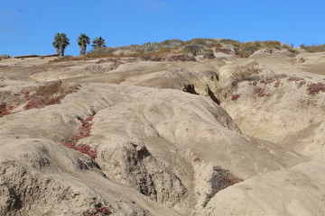 Calanco e dune con sterpaglie