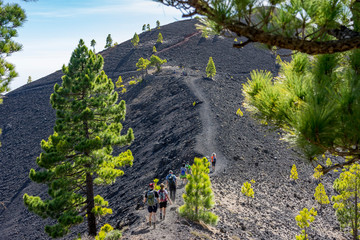 La Palma: Wanderung auf der Ruta de los Volcanes - Wandergruppe auf dem Weg zum Gipfel © Frank Lambert