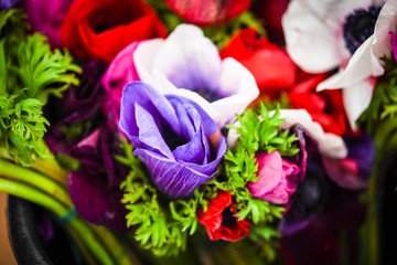 close up view of ranunculus flowers