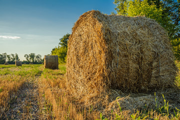 Tractor - hay and straw, traditional summer background with industrial theme..