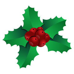 christmas holly with red berries and berries