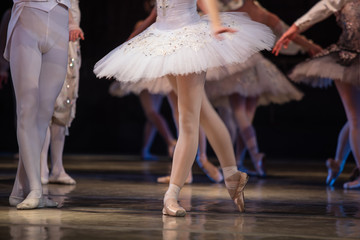 Fototapeta na wymiar Nutcracker ballet. Closeup of ballerinas dancing