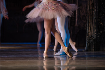 Nutcracker ballet. Closeup of ballerinas dancing © Ruslan