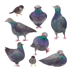 composition with dove and sparrows 
