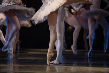 Nutcracker ballet. Closeup of ballerinas dancing © Ruslan
