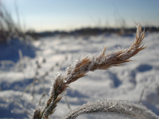 Schneebedecktes Flussufer als winterliches Idyll und Winterlandschaft lädt zum Winterspaziergang ein und zeigt Spuren im Schnee und Raureif mit Schneekristallen