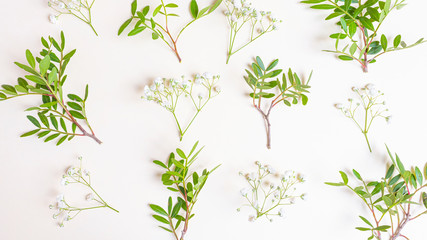 Small lush white gypsophila flowers and branches with green leaves on pastel background. Concept of spring, summer, Valentine's day, wedding, holiday, birthday. Macro photo for banners, cards, posters
