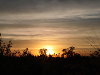 Fototapeta na wymiar Golden sky before sunset.