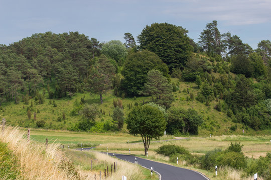 06.07.2019 DE, NRW, Eifel, Lampertstal Wiese, Wacholderheide , Eifel Wiese, Wacholderheide , Eifel