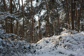 Winterliches Landschaftsidyll nach starkem Schneefall eingeschneit und gefroren für Winterspaß...