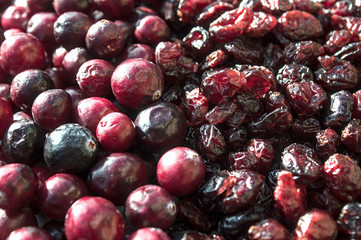 Frische und getrocknete Cranberries