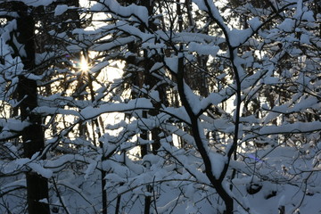 Winterliches Landschaftsidyll nach starkem Schneefall eingeschneit und gefroren für Winterspaß...