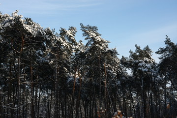 Winterliches Landschaftsidyll nach starkem Schneefall eingeschneit und gefroren für Winterspaß...