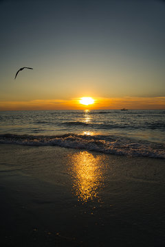 Romantischer Sonnenuntergang am Meer mit Horizont und Möven © Angelika Beck