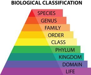 Biological classification taxonomy