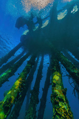 Fototapeta na wymiar Underwater view of a salt water pier