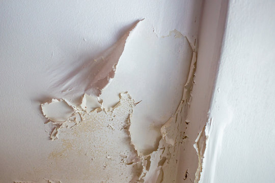 Peeling bathroom ceiling paint caused by excess moisture and condensation