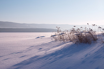 Daytime winter landscape. Winter landscape. A frozen lake and forest on the horizon.