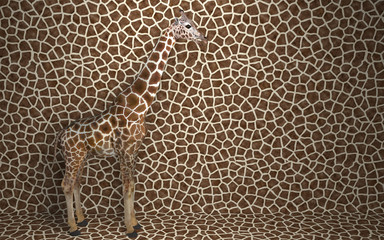 Wild animal giraffe standing indoors merging with spotted background with a pattern of the skin of a giraffe.  Creative conceptual illustration. 3D rendering. © Garan Julia