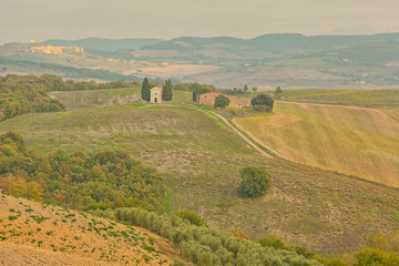 Obraz premium landscape of hills tuscany in autumn in Italy