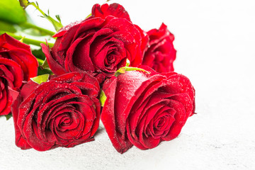 Red roses flower bouquet on white background top view.
