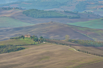 Naklejka premium landscape of hills tuscany in autumn in Italy