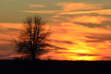 Sunset sky in the evening, picturesque cover,photo