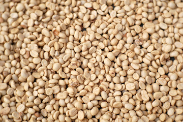 white coffee beans background, aroma coffee