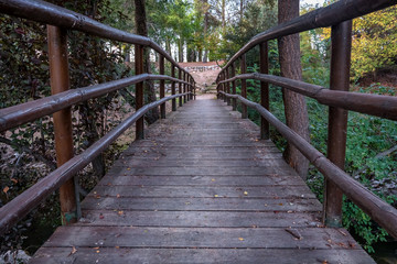 Fototapeta na wymiar perspective of a bridge in the forest
