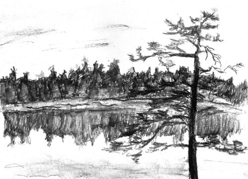 Hand drawn landscape with forest and like.