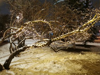 Tree with Christmas garland