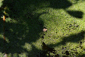 impressions from Fehmarn, Germany