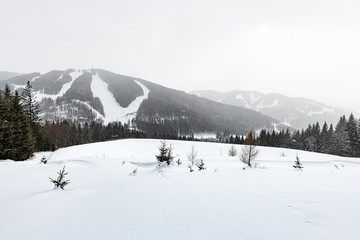 winterliches panorama in den alpen
