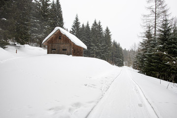 Einsame Hütte im verschneiten Wald
