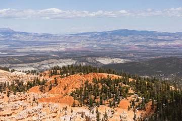 Fototapeta na wymiar L'immensité à Bryce Canyon 