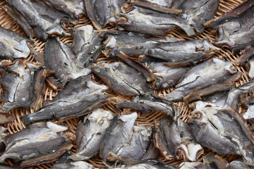 Fototapeta premium trochene Fische