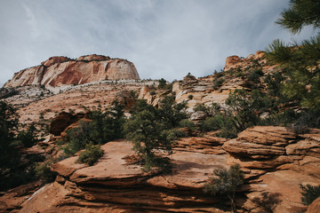 Explorer et randonner à Zion National Park