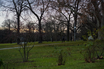 Green spring park with paths and bike paths. Infrastructure. Place for rest and entertainment. Nature. Background.
