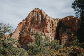 Fototapeta na wymiar Randonner dans les roches rouges à Zion National Park