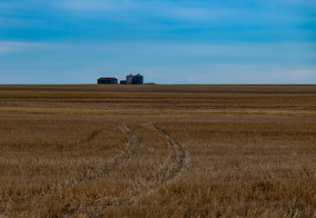 Farm Building in the Middle of an Agricultural Field