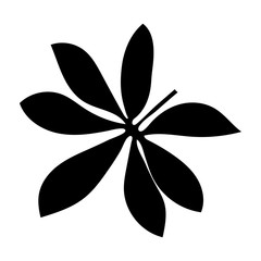 Black tropical leaf on white background for decoration design. Leaf icon. Palm tree silhouette. Vector silhouette illustration isolated. Exotic jungle wallpaper. Vector illustration nature background.