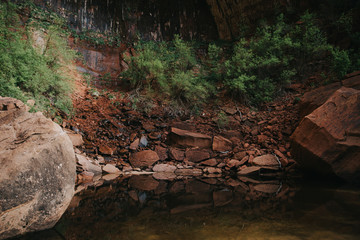 Au bord d'une cascade dans le parc national Zion dans le sud-ouest américain